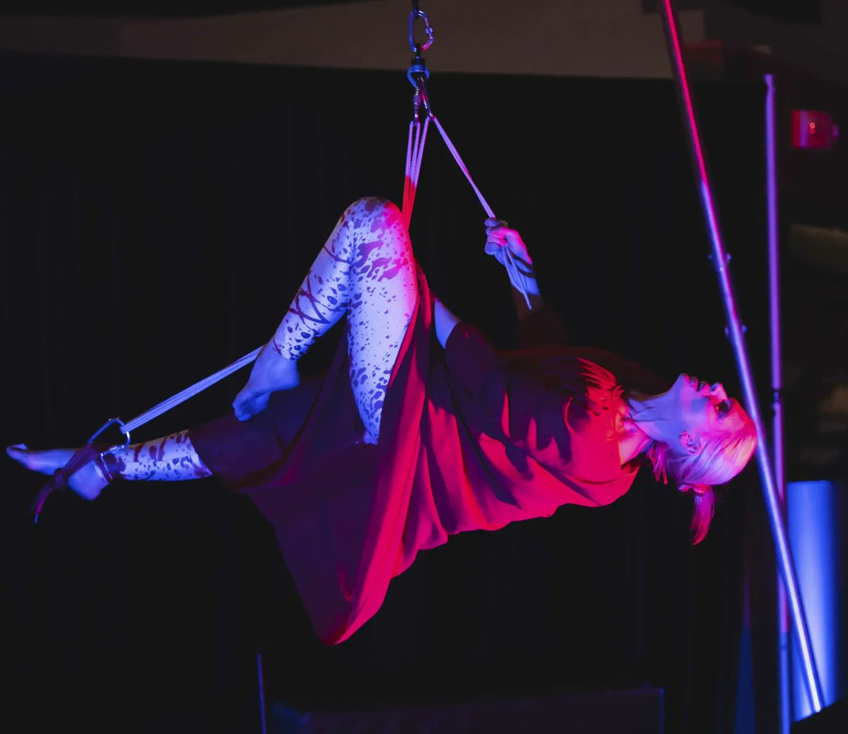 Shay Tiziano tweet media