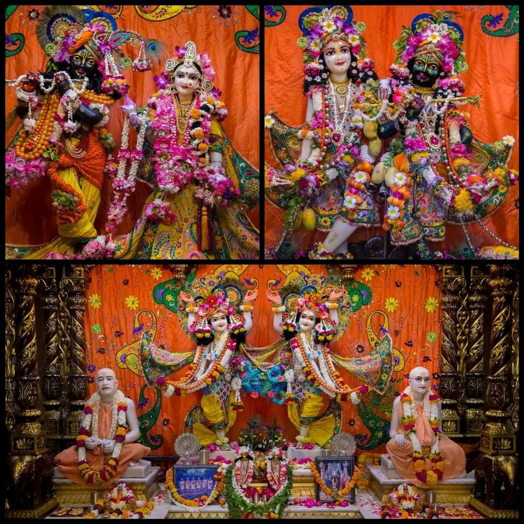 vrajaviharinis's tweet photo. 🤩😍DAILY DARSHAN😍🤩
(Iskcon Vrindavan)
(Iskcon Mayapur)
(Iskcon Pune)
(Iskcon Kolkata)
#lordkrishna #srimatiradharani #panchatatwa #jaijaganathdev #jaisubhadramaharani #jaibalaramdev #dailydarshan #auspicious #beauty #jaigaurnitai #jaigirirajbhagvan #jaisrinrishangadev #Iskcon https://t.co/5ykJTDwbjn