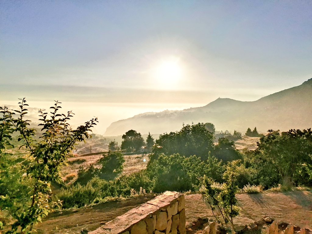 yrfrangieh's tweet photo. REEF EHDEN 💚
من #إهدن https://t.co/ye4lacuWvr
