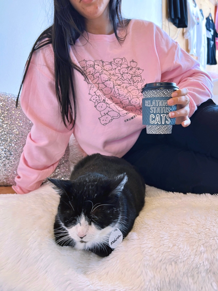 Even the sweetest cats can have trouble finding homes, and that’s what Melina is going through right now! She’s spent six months at Crumbs &amp; Whiskers waiting to be adopted.

ADOPTABLE LOCATION: LA ⁠
⁠
Come meet her by using the link in our bio.