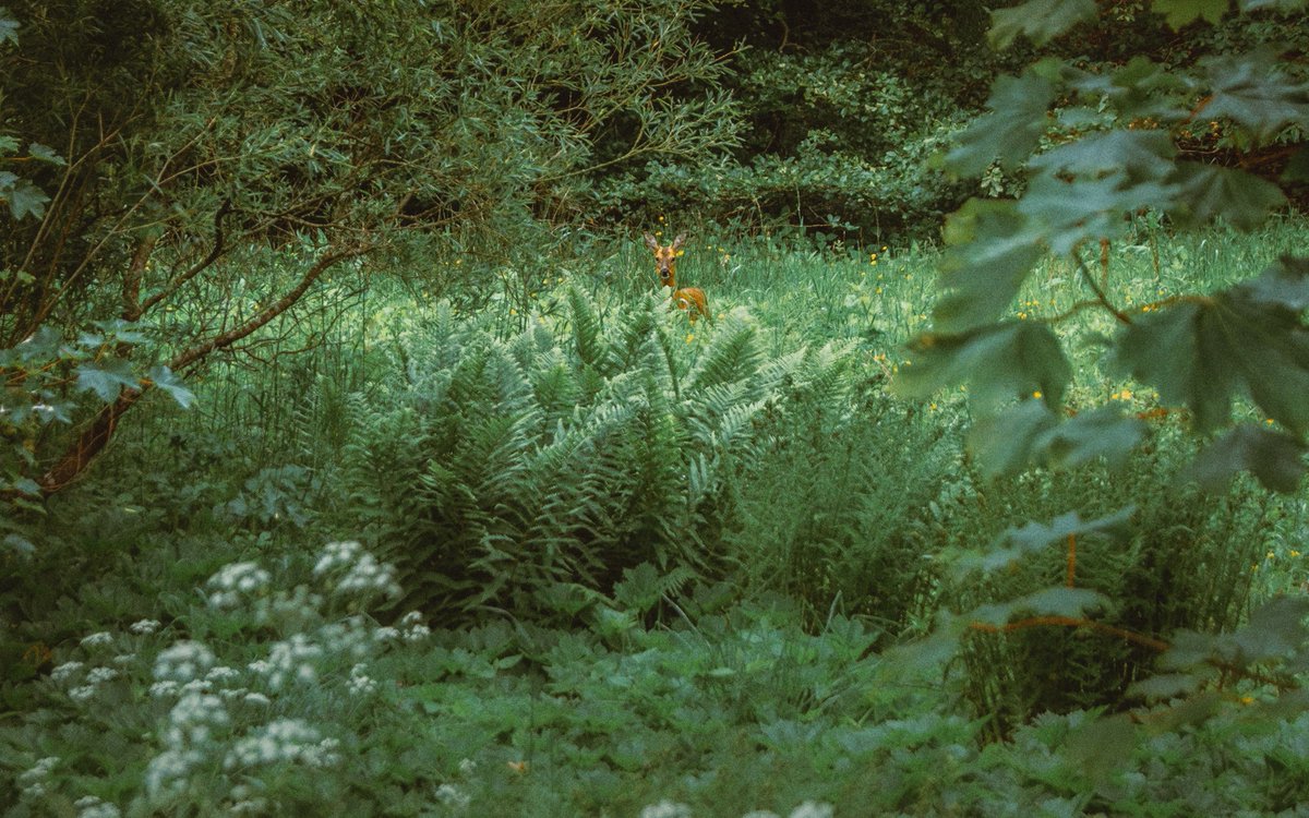 _EDmedia's tweet image. watch the world pass you by