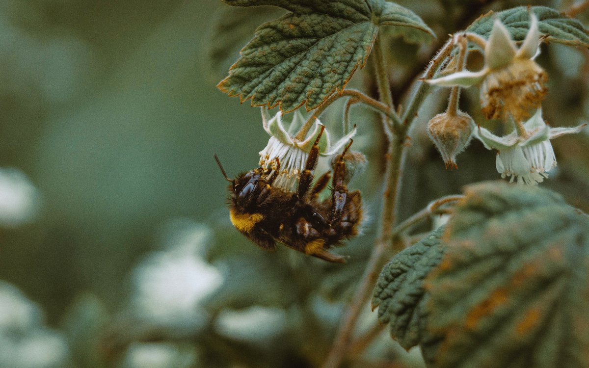 _EDmedia's tweet image. watch the world pass you by