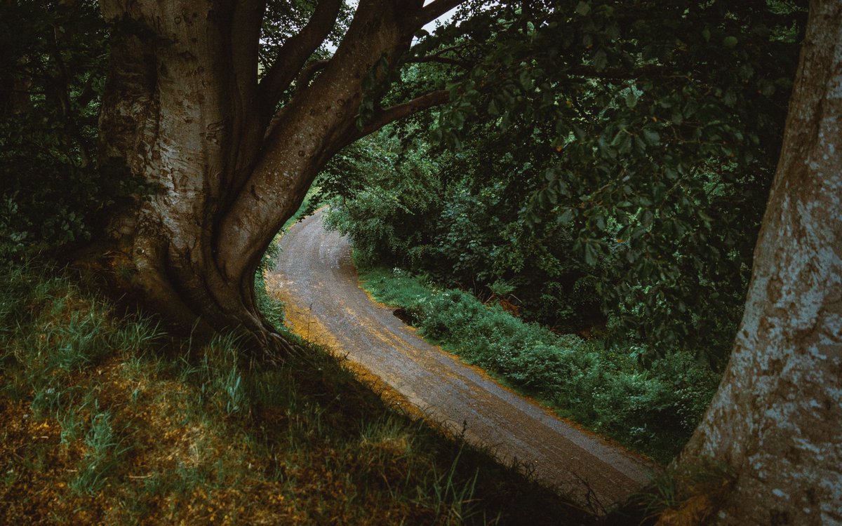 _EDmedia's tweet image. watch the world pass you by