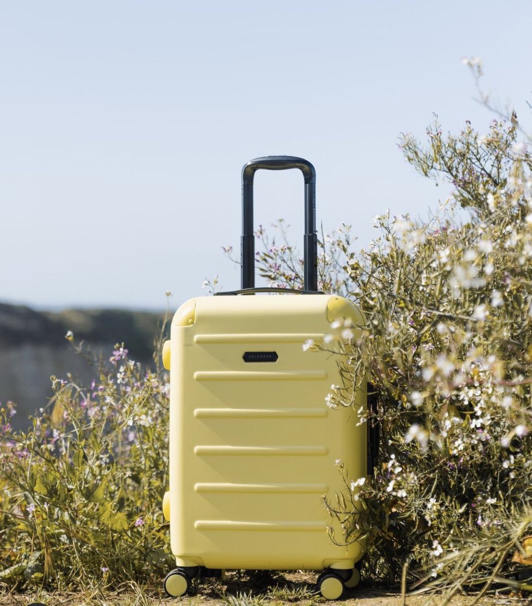 Solgaard tweet media