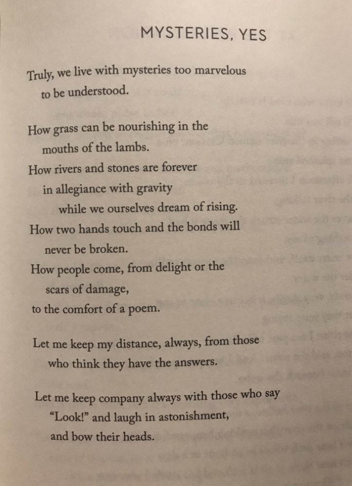 I had a severe panic attack about my exams and my mum just sent me ‘Mysteries, Yes’ by Mary Oliver and it brought me BACK. May it bring solace in some way here, too 🌿