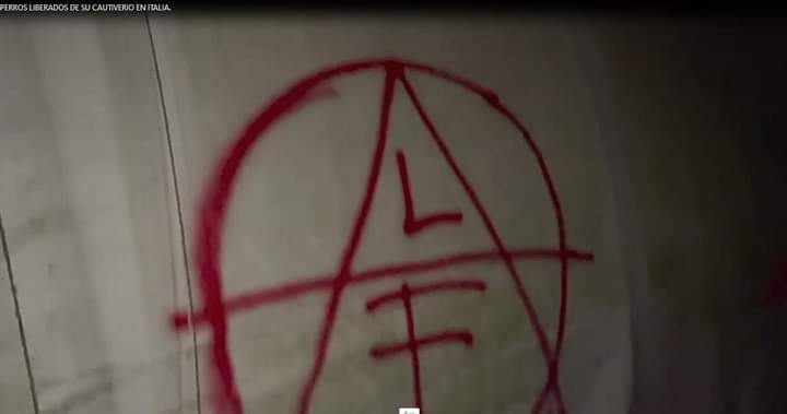 El Frente de Liberación Animal ha liberado a dos perros encadenados y enjaulados en Veneto (Italia).   frentedeliberacionanimal.noblogs.org/post/2022/06/1…