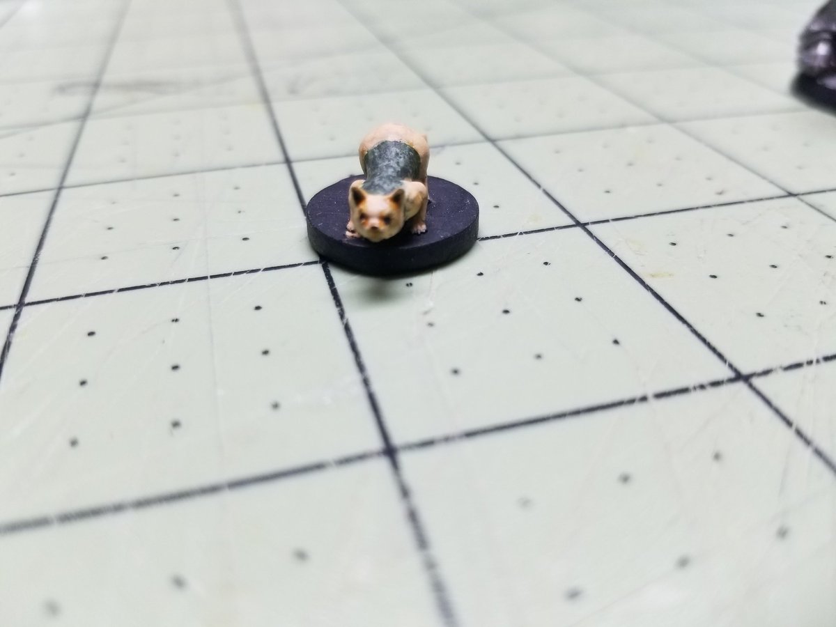 Mister_Matched's tweet photo. Finally finished up models for the other players in my #pathfinder2e game.  #miniatures https://t.co/Frutecw05Q