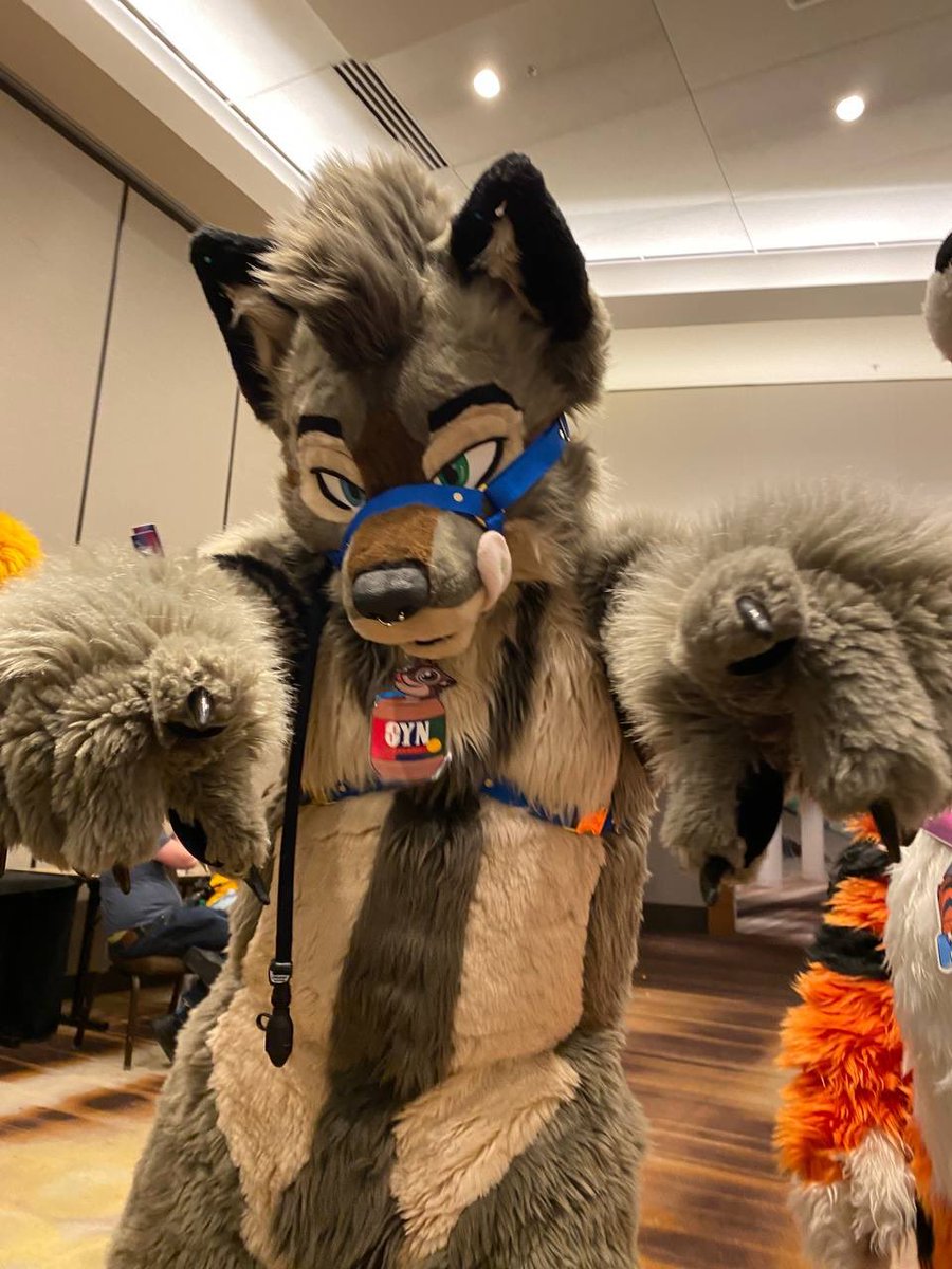 Werewolf_mutt's tweet photo. Yo I’m Syn! 

I make custom fursuit collars and harnesses, trello info below: https://t.co/i2lErM1epk https://t.co/Ug0OhALGjh