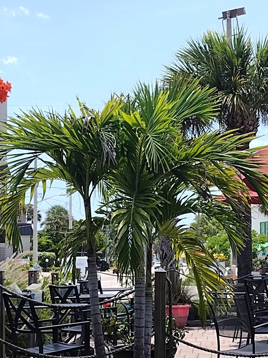JaredLarimer's tweet photo. Florida is overrated https://t.co/172zr2n4xl