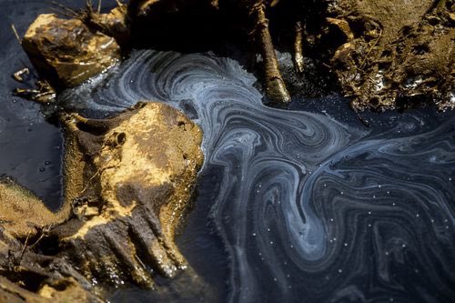 talkingScuba's tweet photo. Oil spill in Flint, Michigan. Flint river contaminated with thousand of gallons of oil. https://t.co/PcKeNodfW6 https://t.co/wWXXnEfjdD