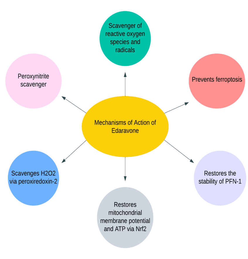 aVoice4ALS's tweet photo. "Ethnical disparities in response to Edaravone on people with #ALS."
Review summarizing #Edaravone (Radicava) studies in different countries. Only study out of Japan with people having early onset shows unequivocal benefit in this heterogeneous disease.
https://t.co/cy0NN91yL4 https://t.co/tTVHLd8xzC
