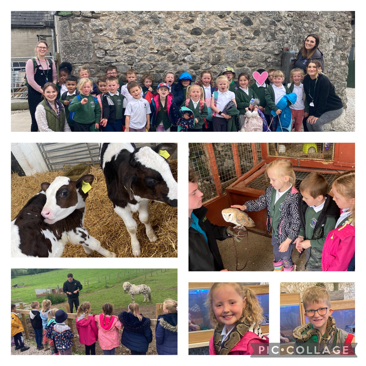 CBlandDSM's tweet photo. Year 1 would like to thank @GreenlandsFarm for a fantastic school trip 🐣 Jordan and Cleo were amazing and we appreciate everything they did for the children💛 #year1 #thankyou https://t.co/sbq0w2Aln9
