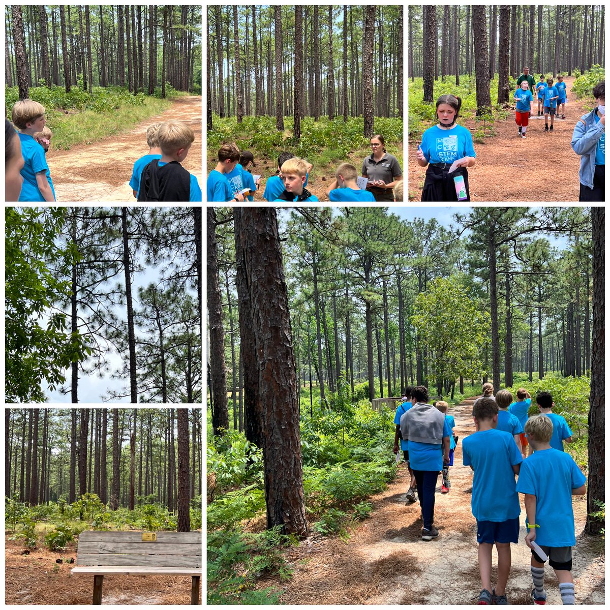 RachN635's tweet image. Day 4 MCS #STEM camp, we ended the week strong with #coders sharing their games and taking a field trip through Weymouth Woods State Park! So proud of these campers and can’t wait to meet next week’s kids! @MCSDigital @MooreSchools @Ashley_Priem
