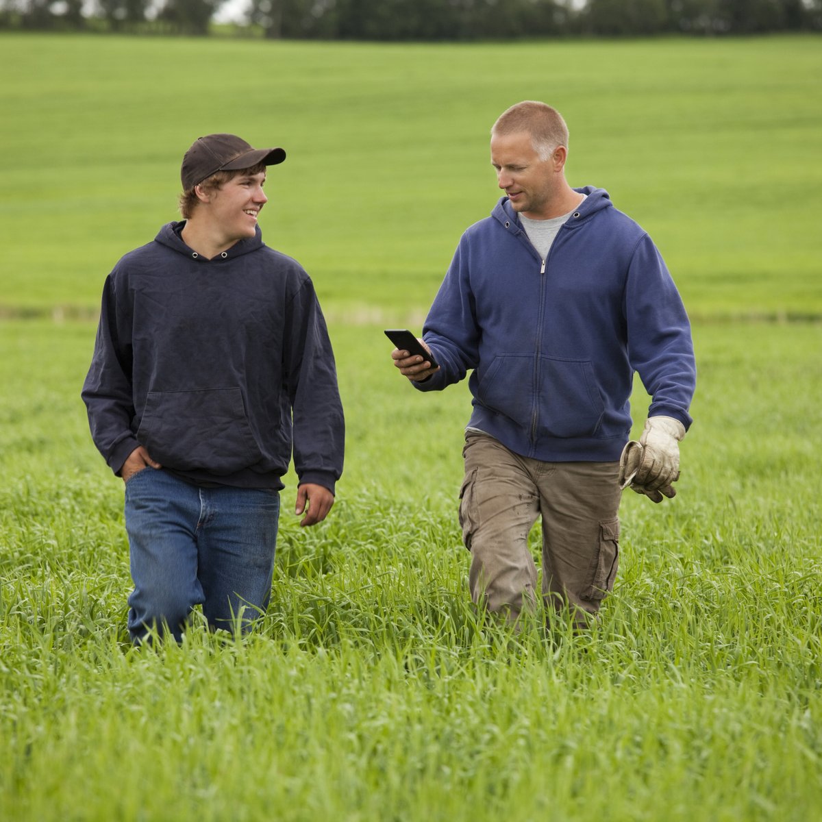 UFAcooperative's tweet photo. Hard-working dads deserve hard-working gifts. Tools, building supplies, hoodies we’ve got great gift ideas. Can’t decide? Grab a UFA gift card and let Dad get exactly what he wants. Visit your local UFA today and give your dad a gift he’ll love. https://t.co/rpGuqOl6sa