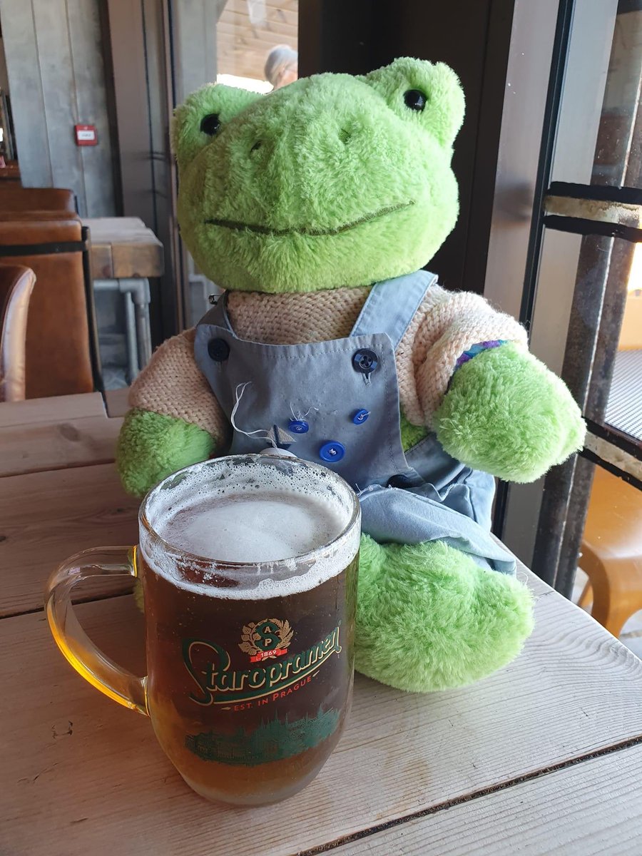 DreamerNoodle's tweet photo. My froggo friend getting drunk yesterday #buildabear #frog #stuffedanimal https://t.co/OA4DQ1OqIY