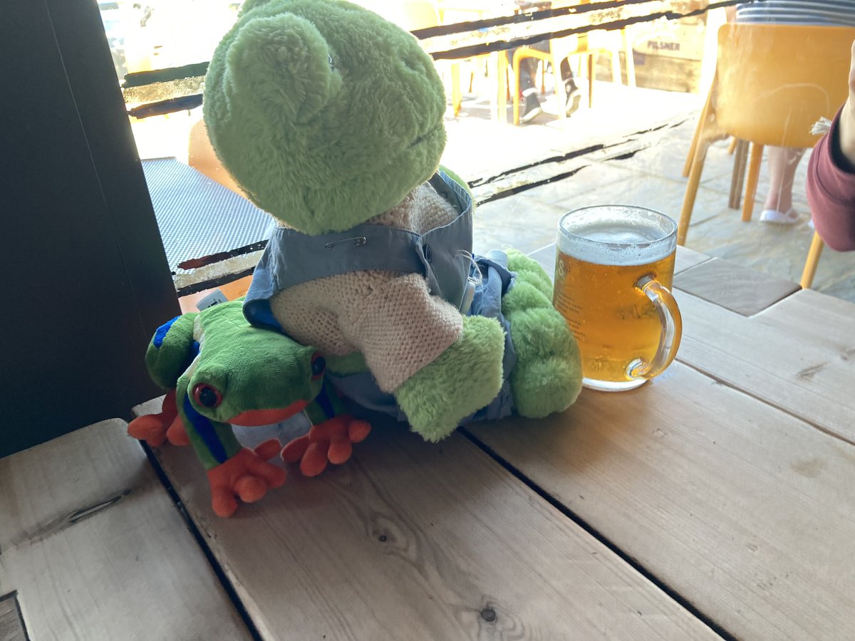 DreamerNoodle's tweet photo. My froggo friend getting drunk yesterday #buildabear #frog #stuffedanimal https://t.co/OA4DQ1OqIY