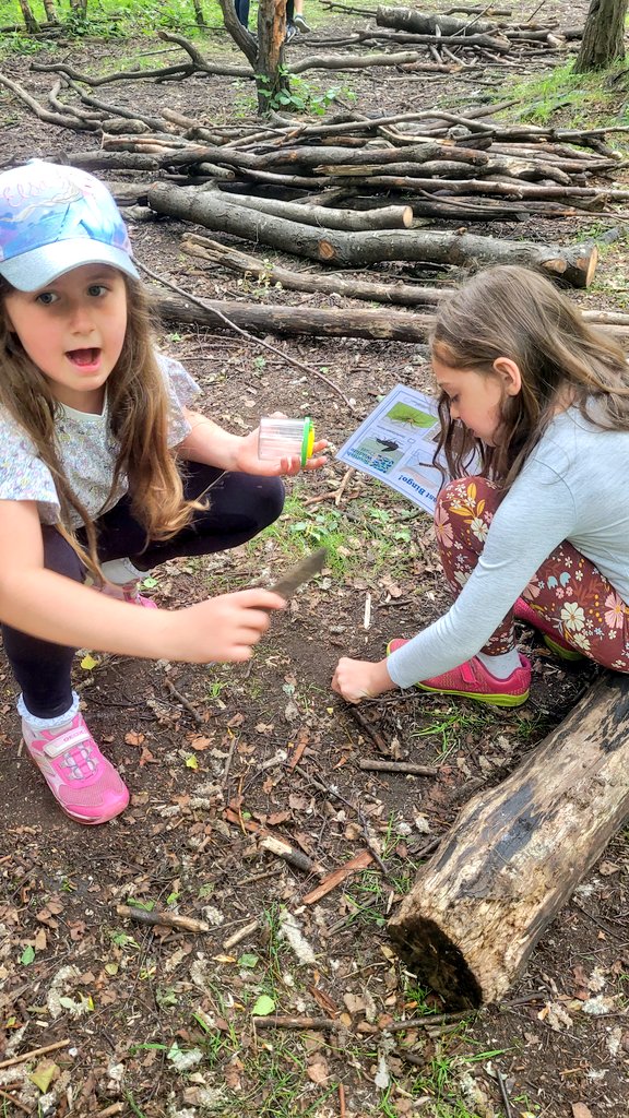 Mrs Tulloch (@mrstcaterpillar) on Twitter photo We went hunting for minibeasts! π·οΈππͺ²πͺ±πͺ° @JupiterWildlife <a href="/LADICKSON76/">P2/1 D Moray Primary</a> <a href="/MorayPS/">Moray Primary School</a> We went hunting for minibeasts! π·οΈππͺ²πͺ±πͺ° @JupiterWildlife <a href="/LADICKSON76/">P2/1 D Moray Primary</a> <a href="/MorayPS/">Moray Primary School</a>
