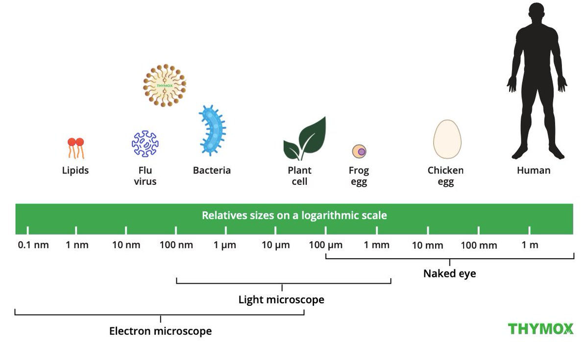 🔬🦠The control of harmful microorganisms 
There is a wide variety of microorganisms; among them, some are helpful while others are harmful to the health of humans, animals and plants.  lnkd.in/dRz8yPuK