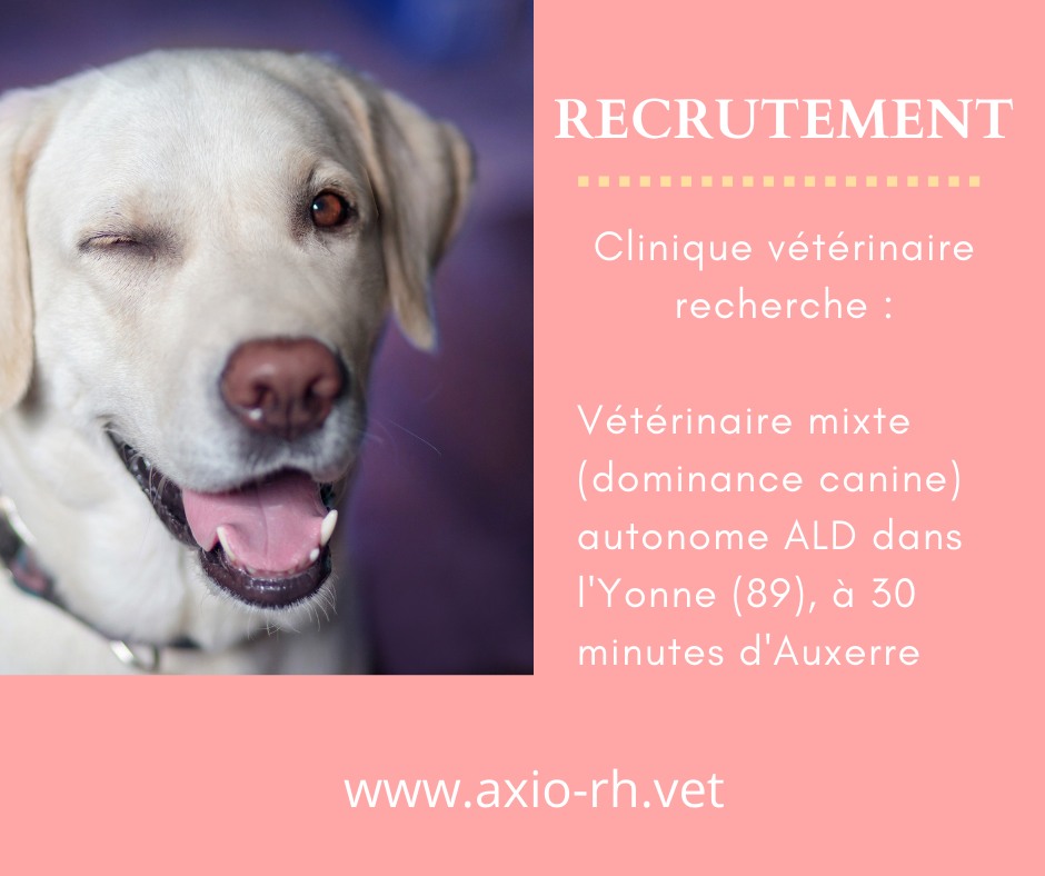 RhAxio's tweet image. Offre d'emploi 😀

Vétérinaire mixte (à dominance canine) autonome (ALD, temps plein). 

La clinique se situe à 30 minutes d'Auxerre dans la Yonne (89).
Vous pourrez postuler directement sur notre site internet en bas de l'annonce : bit.ly/3xHxcSe 
Bonne journée 😁
