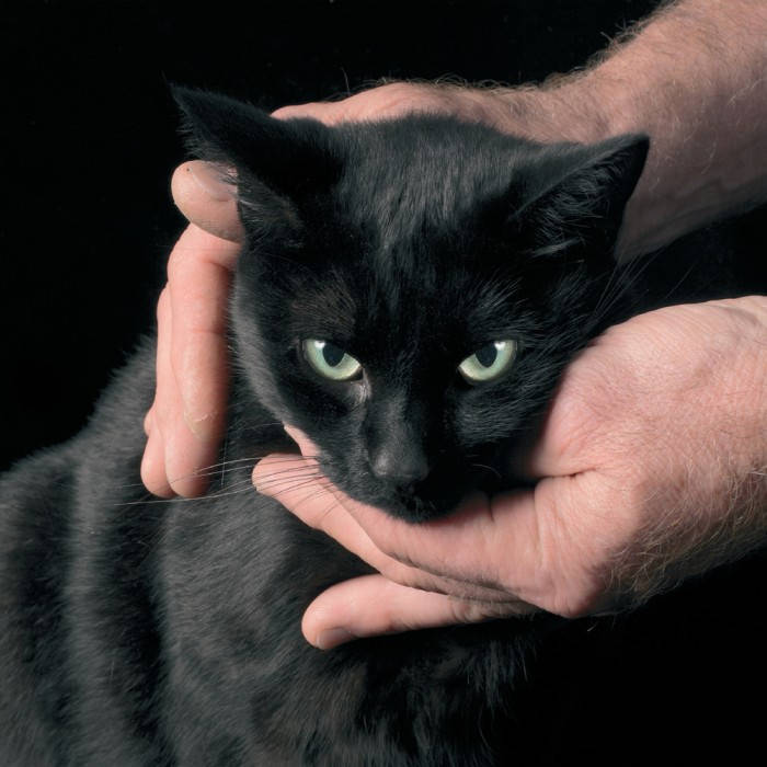 @sochaux_lapin 2028 🇺🇦 (@sochaux_lapin) on Twitter photo #AlbumCoverObjects
(If you prefer cats 😉)
<a href="/peter_kernel/">Peter Kernel</a> - White Death & Black Heart (2011) 🇨🇭 #AlbumCoverObjects
(If you prefer cats 😉)
<a href="/peter_kernel/">Peter Kernel</a> - White Death & Black Heart (2011) 🇨🇭