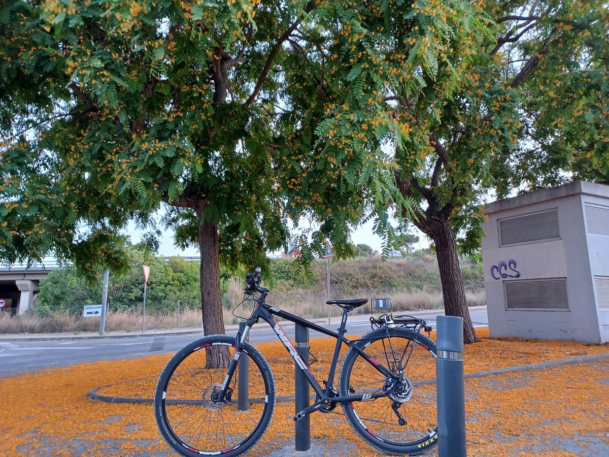 AndresV25687618's tweet photo. #springbiking #yellowcarpet https://t.co/NunT2PqH8W
