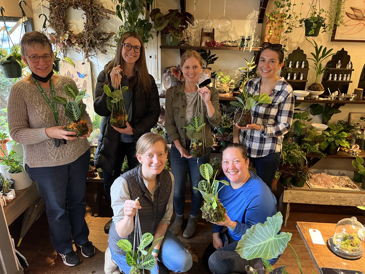 As part of our internal #employeewellbeing program, staff created their own kokedamas at Artemisia in Portland! Lunch at some food carts rounded out the team building event! #employeewellness #Wellbeing #teambuilding
