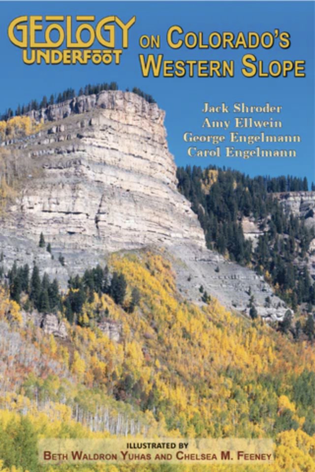 cmcfeeney tweet media