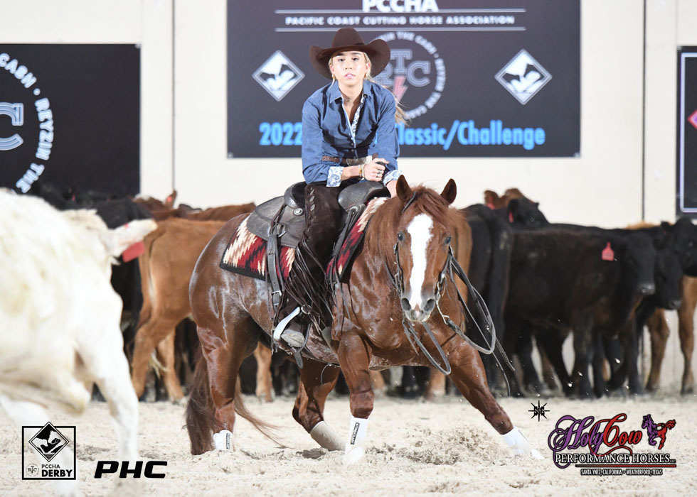PHorseCentral's tweet photo. Gwen Gaughan led the #PCCHA #ReyzinTheCash Derby 5/6YO Amateur 1st Go with a 222 oaboard Reykoning (Reyzin The Cash x That Catomine) owned by John & Barbara Gaughan. A 211 was needed to advance to the finals.
#ScootemNShootemPhotography #holycowperformancehorses https://t.co/OMT9j5RI0S