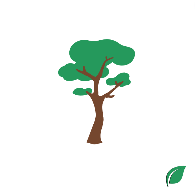 treebity's tweet photo. This is what we @treebity stand for🌲
.
Read about our #treebity project in our 🌲HINT🌲 posts.
.
#NFTs #Crypto #Cryptos #news #new #crypto #nftart #project #green #trees #tree #Activism #ClimateAction https://t.co/zi9o23c2wZ