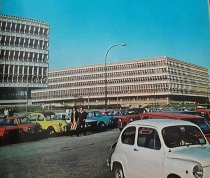 Morfología Evolutiva y Paleobiología - Vertebrados tweet media