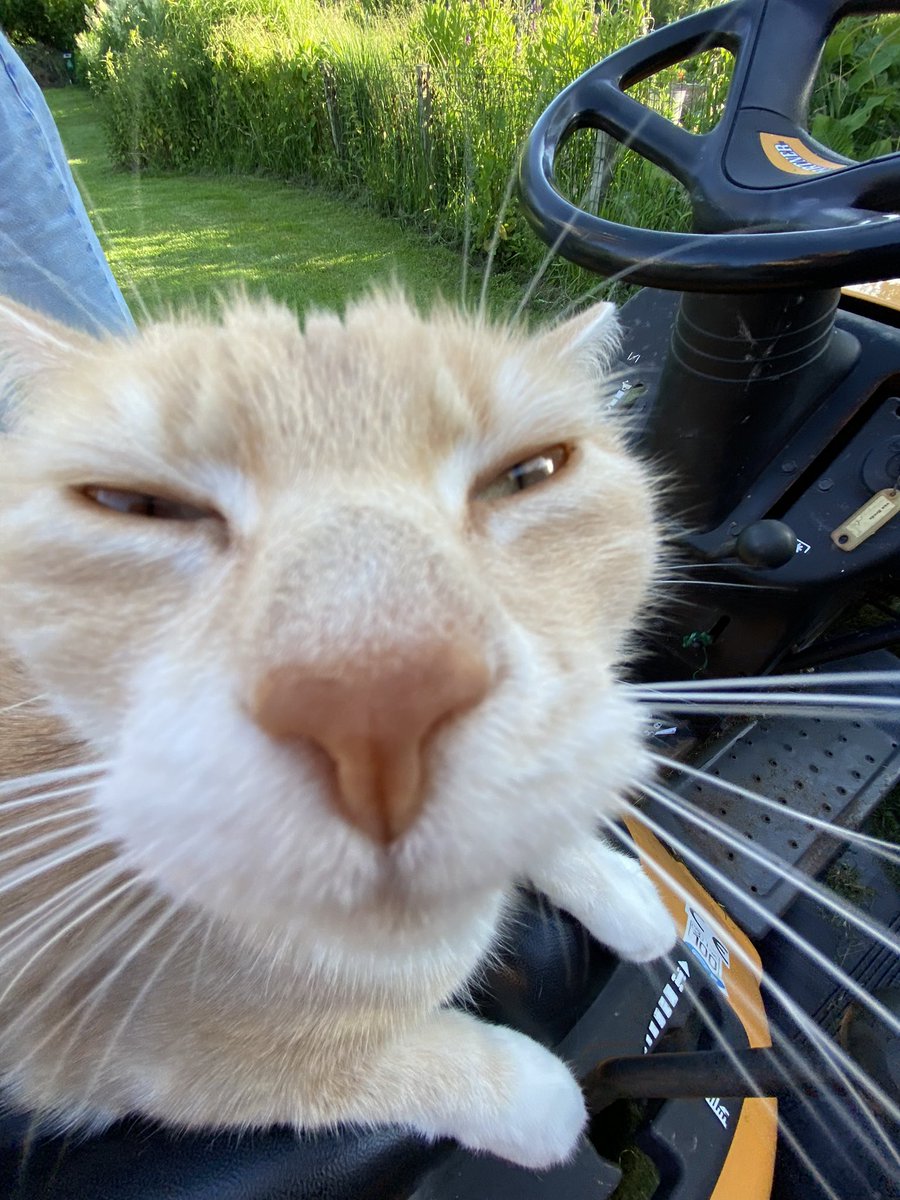 turned 18 one minute ago