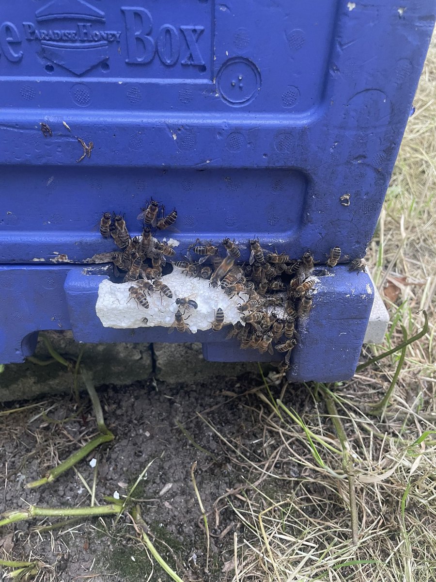 When they decide they don’t want there entrance reduced….