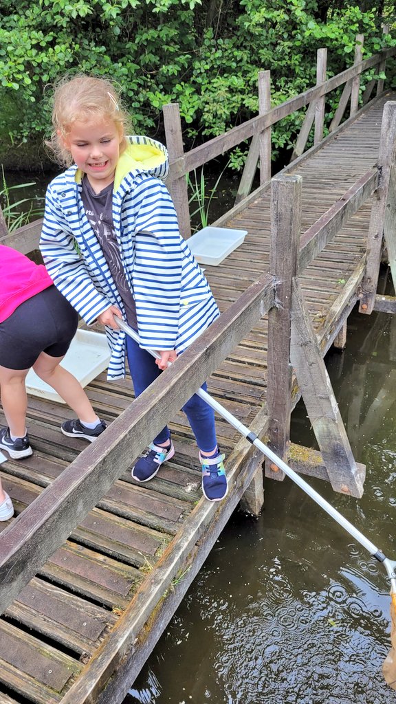 Mrs Tulloch (@mrstcaterpillar) on Twitter photo Hmmm what have we caught? #PondDipping @JupiterWildlife <a href="/LADICKSON76/">P2/1 D Moray Primary</a> <a href="/MorayPS/">Moray Primary School</a> Hmmm what have we caught? #PondDipping @JupiterWildlife <a href="/LADICKSON76/">P2/1 D Moray Primary</a> <a href="/MorayPS/">Moray Primary School</a>