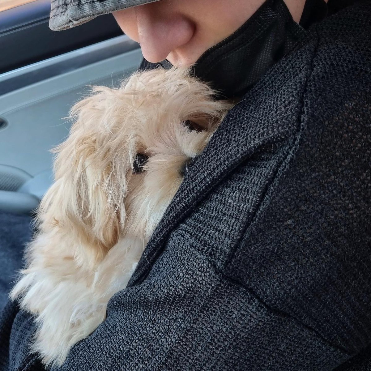 dhssource's tweet image. 🥺❤️ #한세 #빅톤