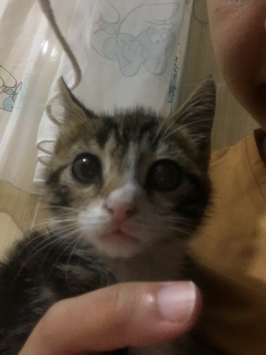 samseytanicuce's tweet photo. Ne demeg bu da senin ablan ponyo https://t.co/9Izt9skWne