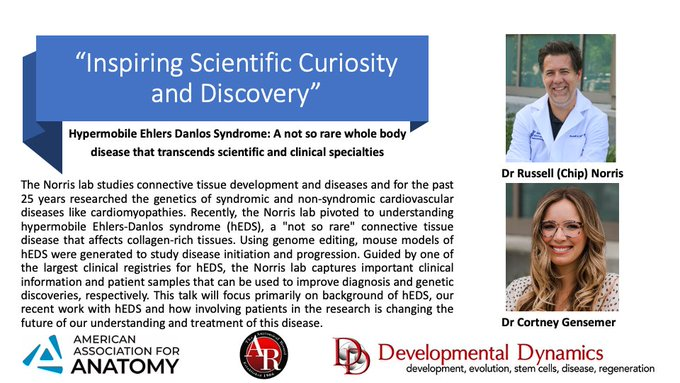 Ehlers-Danlos syndrome, #EDS #hEDS the most common condition you've probably never heard of. 800,000 patients in the USA, yet no NIH funding.   Special thanks to Dr Norris and Dr Gensemer for their engaging presentation and their efforts to improve the lives of those affected.