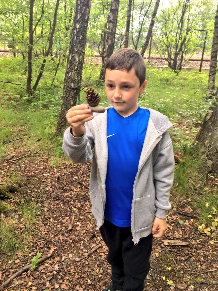 Mrs Tulloch (@mrstcaterpillar) on Twitter photo We then used clay and natural materials to make our own model of a minibeast! #Minibeasts <a href="/LADICKSON76/">P2/1 D Moray Primary</a> @JupiterWildlife <a href="/MorayPS/">Moray Primary School</a> We then used clay and natural materials to make our own model of a minibeast! #Minibeasts <a href="/LADICKSON76/">P2/1 D Moray Primary</a> @JupiterWildlife <a href="/MorayPS/">Moray Primary School</a>