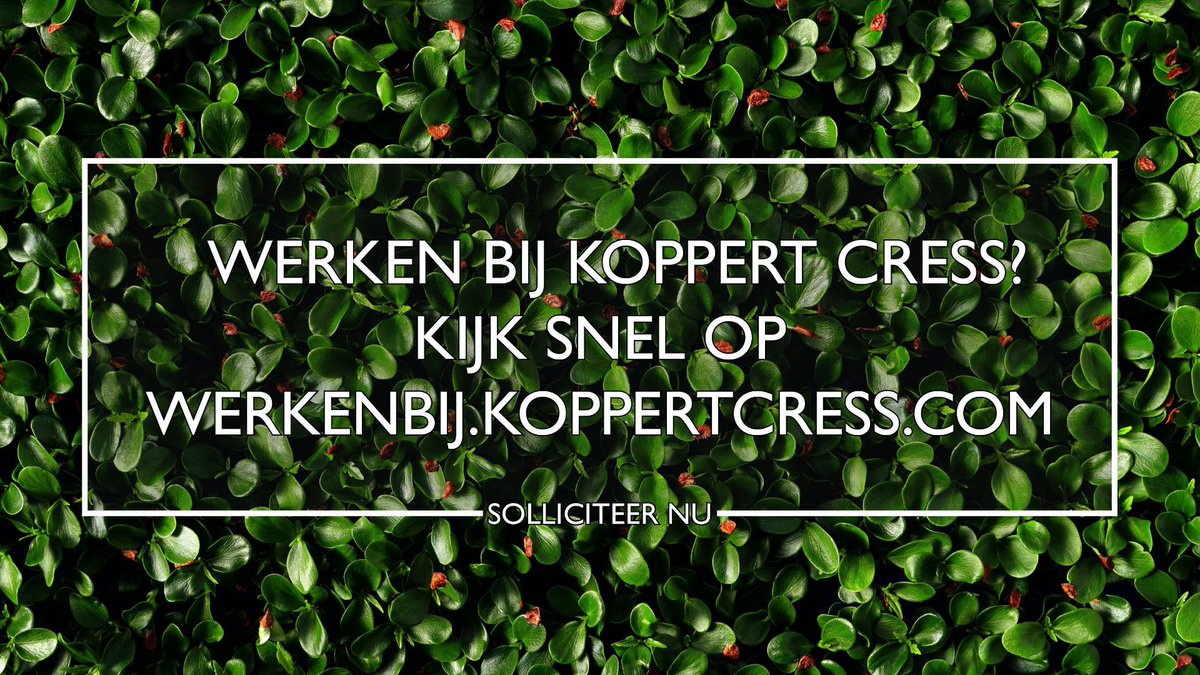 Word jij onze nieuwe collega? Kijk hier voor alle vacatures bij Koppert Cress -> werkenbij.koppertcress.com #koppertcress #operator #vacature