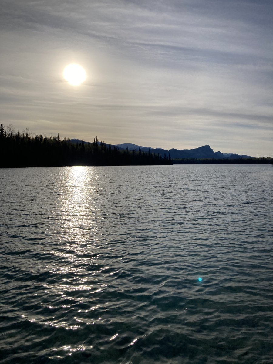 RemnantPrairie's tweet image. It meant the world to me to finally visit the remote community I was partnering with on my thesis project and explore their territory.
#CommunityLedResearch #ThisIsUNBC 🦅🎓🌲🐺