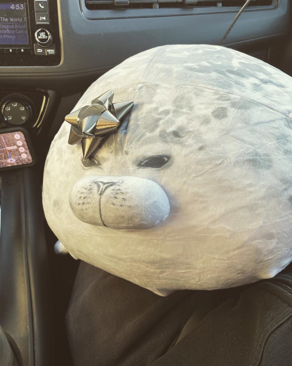 Jacksalvs's tweet photo. Please pray for me, this seal pillow I got my niece is a vibe and it’s taking everything I’ve got not to keep it for myself. https://t.co/vKHoUkJLAZ