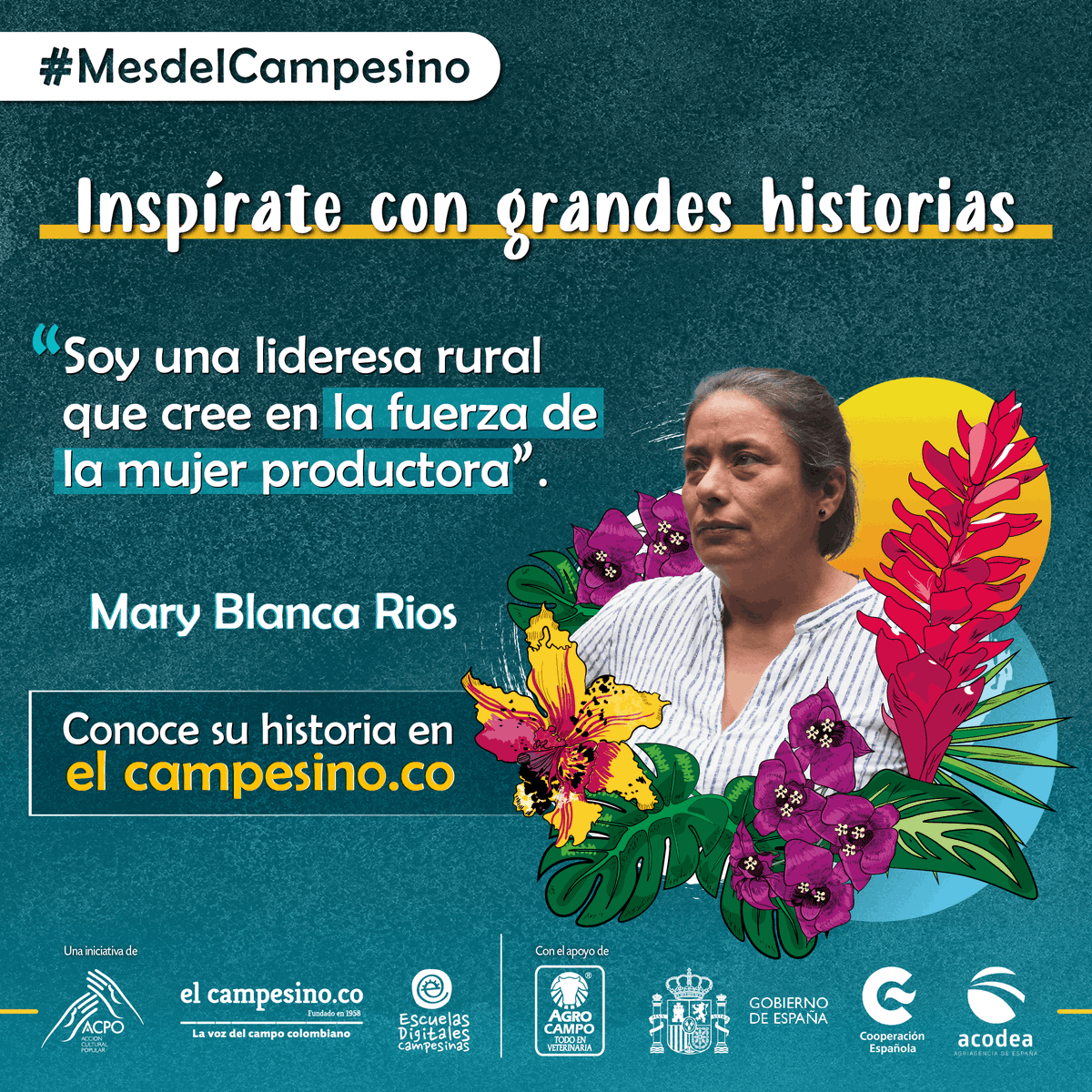 ElcampesinoCo's tweet photo. Conoce la historia de Mary Blanca, lideresa de Popayán, en el siguiente link: https://t.co/D0QhiVNj8T

Apoyada por @acodea_ https://t.co/b4fB5d0jm9