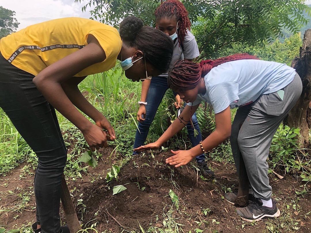 KailendOrg's tweet photo. Special thanks to the Yr 10 students and staff at @bsltogo for the lovely visit! It was so great to meet you all and thank you for all the hard work 💪🏾 turning compost piles and planting sweet potatoes, you really showed us that girls do it better! 🙌🏾👩🏾‍🌾 #kailendfarm #learningfarm https://t.co/O5buYtUYr8