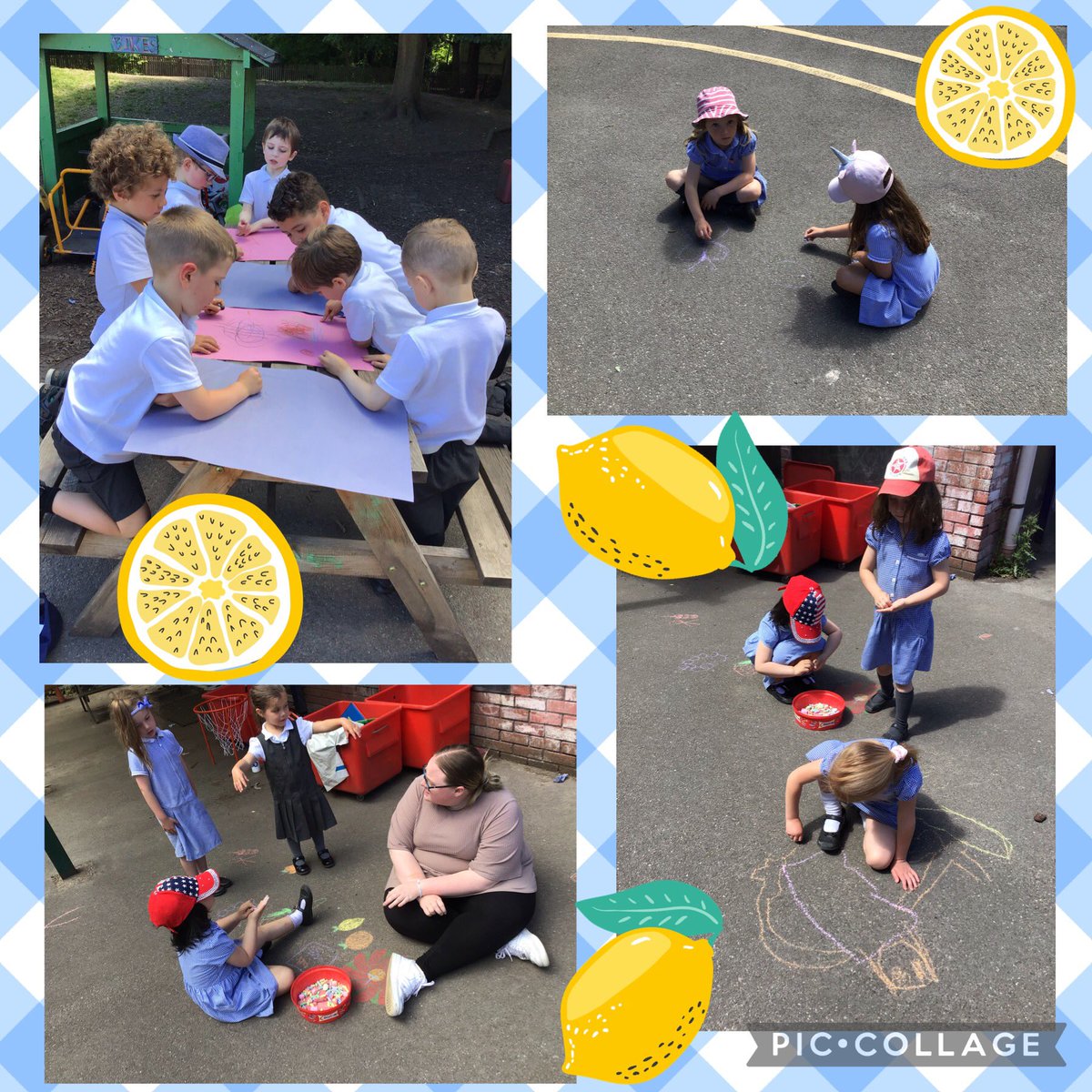 st_michaels_ham's tweet image. When life gives the Foxes lemons (and limes) they cut, squeeze, smell, float, mix, draw and explore them, extract pips to grow, and make lemonade!
@GreatSciShare #AllAboutStem #EYFSOutdoorLearning