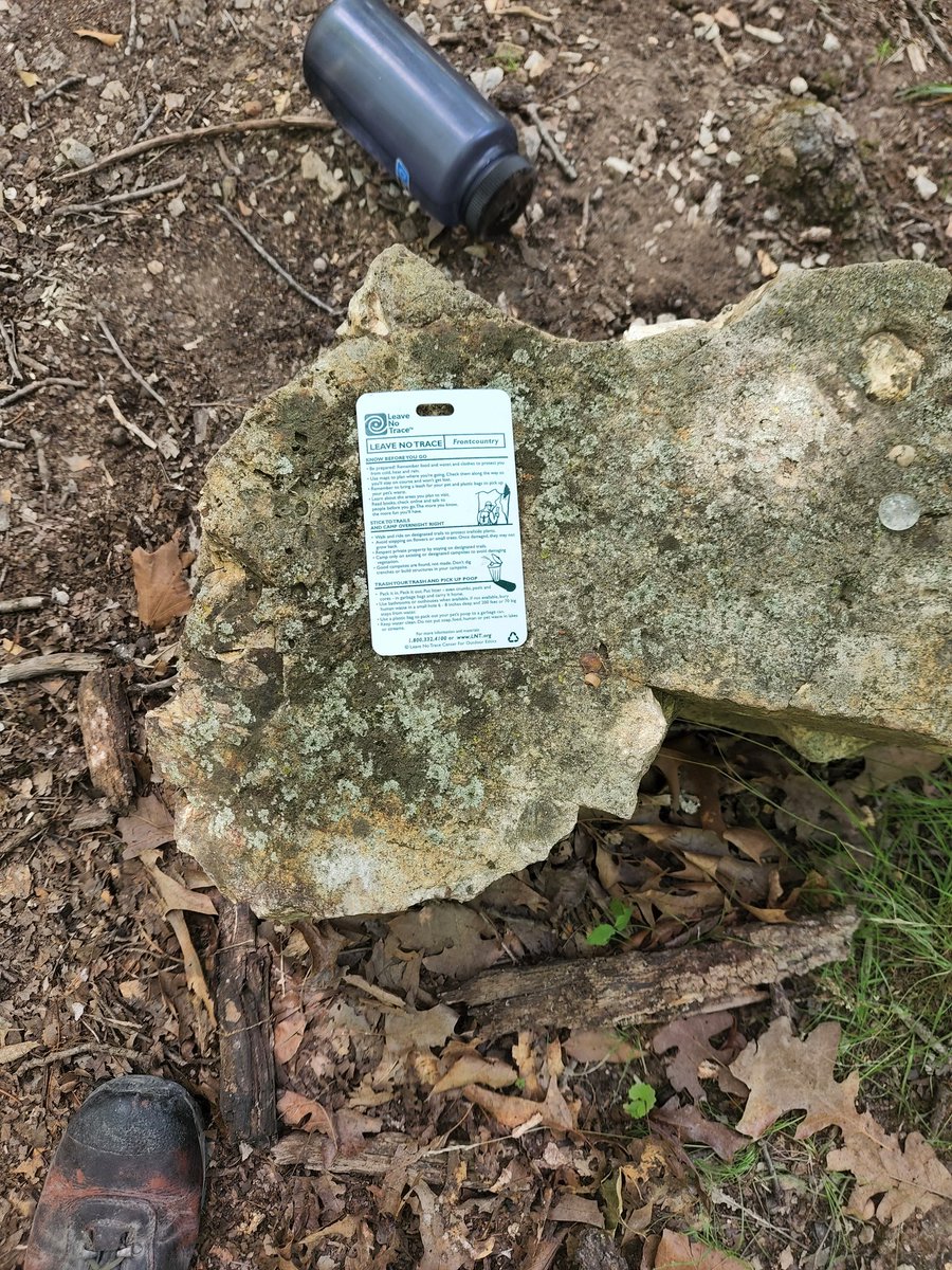 The irony. I found this on a rock along a trail at Bartle scout camp.