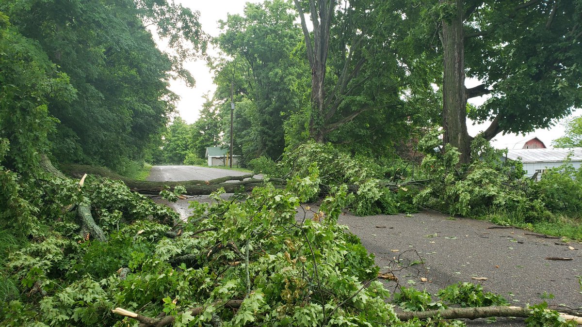 Large trees and powe lines down north of Colborne.

#ONStorm #onwx #shareyourweather 
<a href="/environmentca/">Environment Canada</a> <a href="/westernuNTP/">Northern Tornadoes Project 🇨🇦</a>