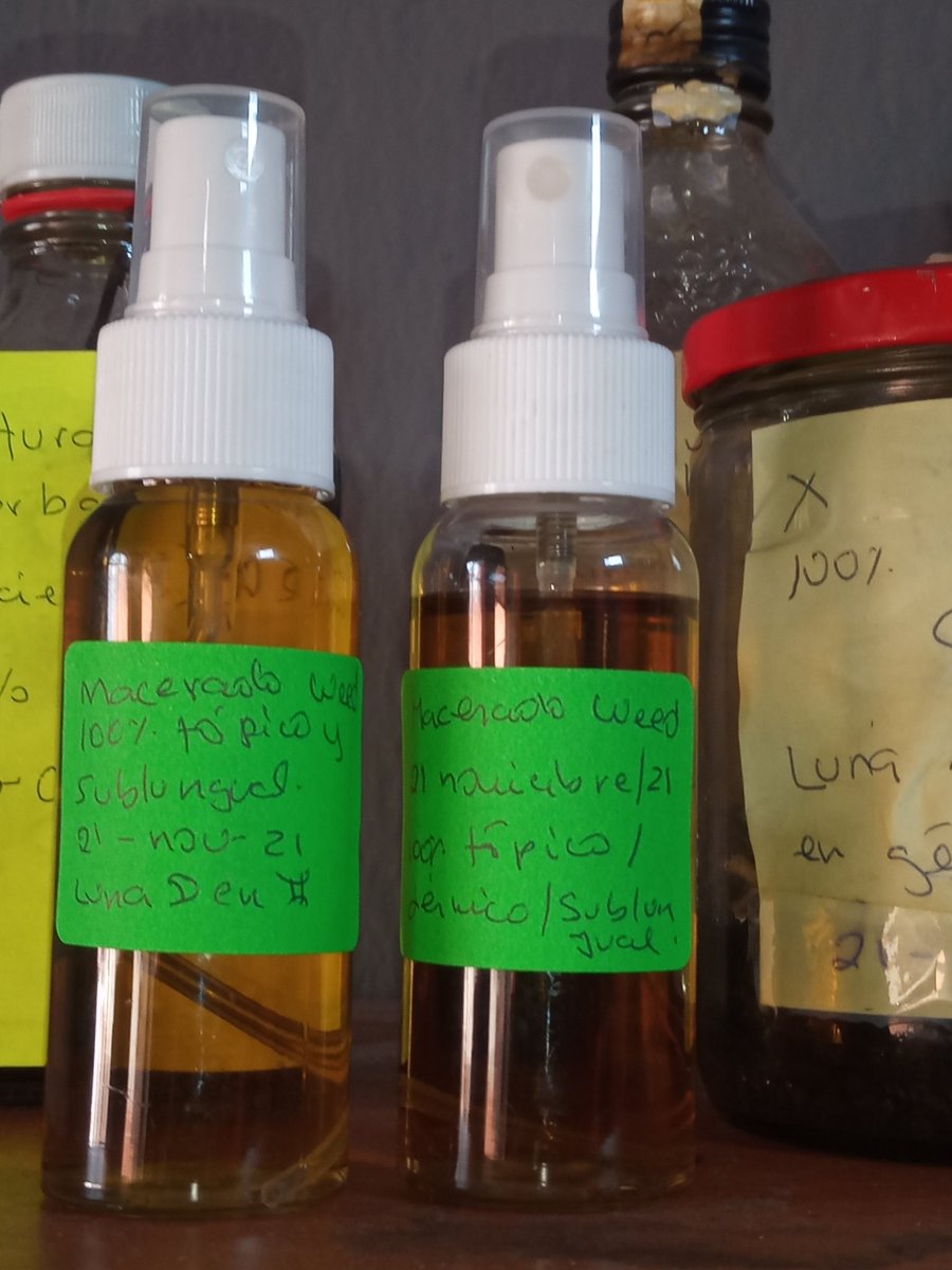 rumishunwu's tweet photo. Macerado Cannabial puro, hidropónico. Spray para uso tópico o sublingual. Propiedades antiinflamatorias, analgésicas, antidepresivas, ansiolíticas. 
Hecha en la luna menguante en la constelación de #Geminis el 21 de 
Hilo medicinal. https://t.co/NBj9MfpUMz