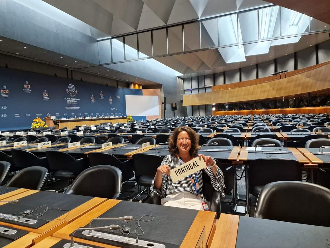 Rita Marques tweet media