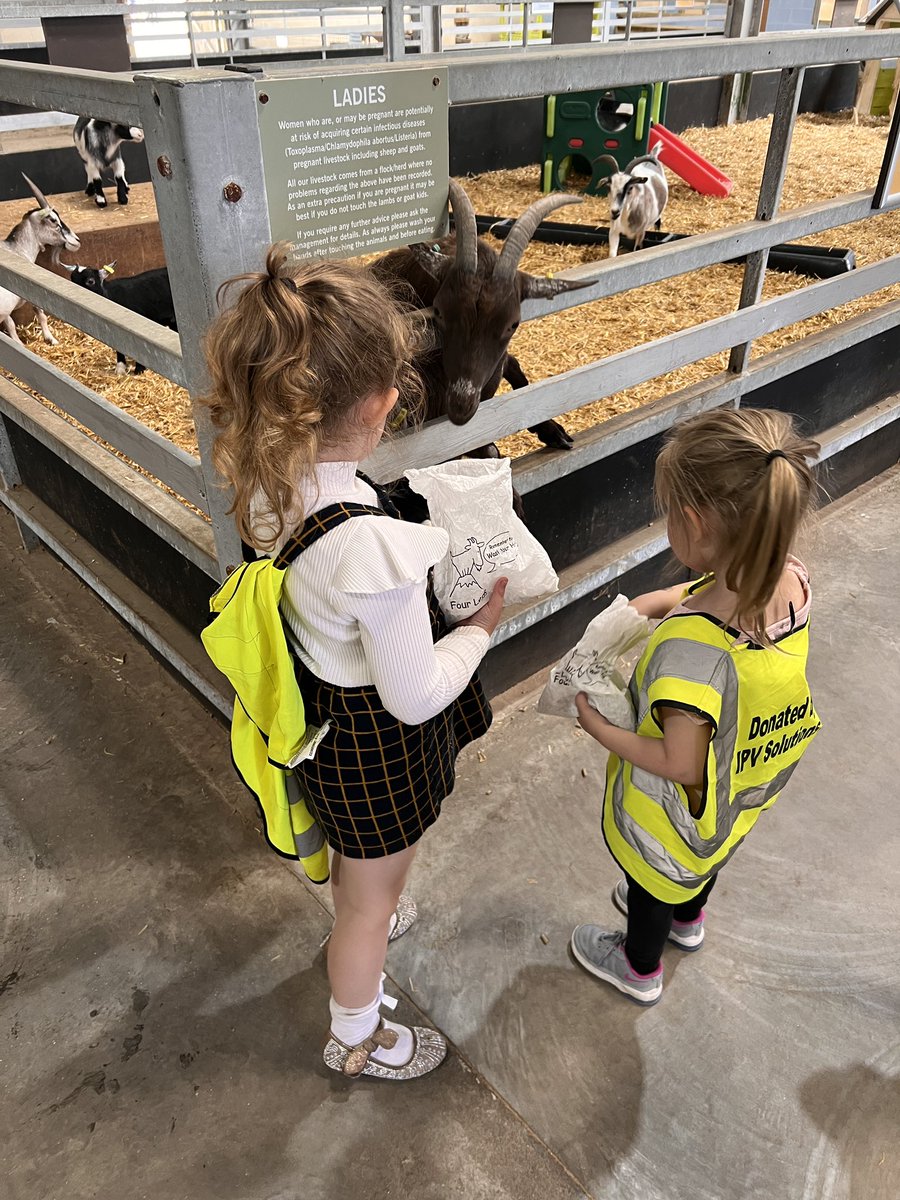 nurserykinged's tweet photo. 🐝's had the best day today at the farm in the sunshine! ☀️ lots of smiles!! 😁 https://t.co/wFdjfnLuiT