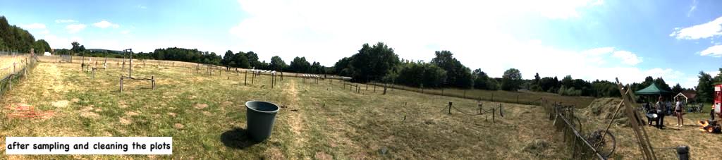 DisturbanceEco1's tweet image. Our peak harvesting was completed today. #NutNet #Event II #DroughtNet #SusAlps
Credit to all students of Exp. Ecology 2022 at GCE @ubt and international interns #Jennifer #Sara+Lab members
We celebrated #Jennifer Schug's birthday working all day harvesting,  sorting...pizza....