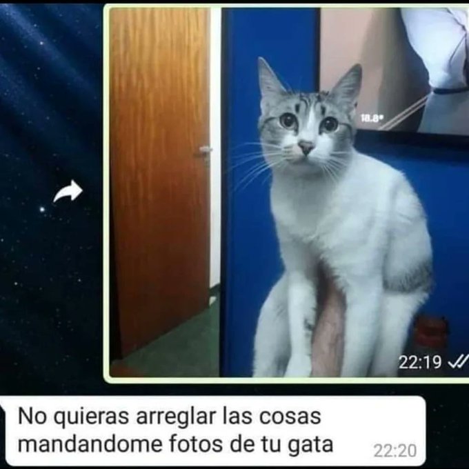 JURIOBOLUDO's tweet image. no quieras arreglar las cosas